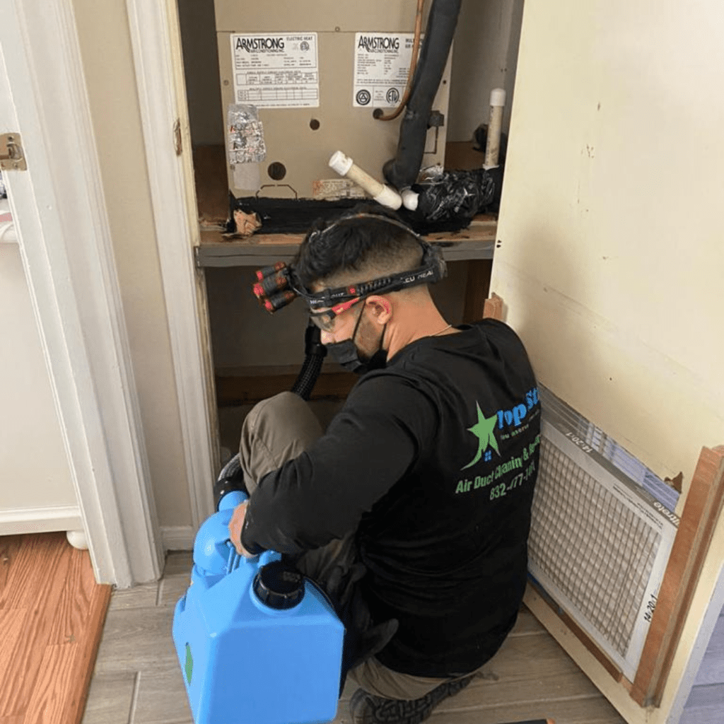 air duct mold cleaning